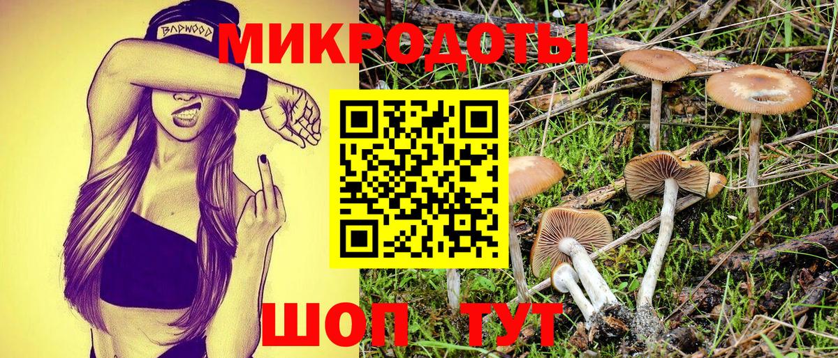 Дзержинск  Псилоцибиновые грибы GOLDEN TEACHER  Галлюциногенные грибы ЛСД  Вход с VPN 