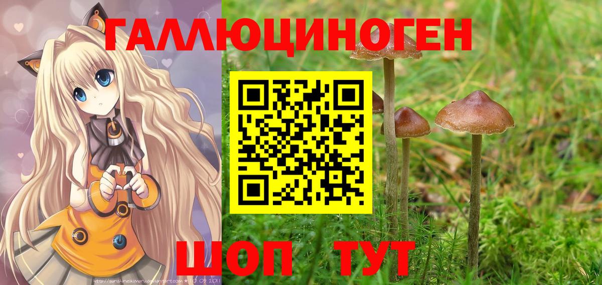 Псилоцибиновые грибы Psilocybine cubensis Дзержинск